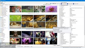 3delite-Video-File-Browser-2022-Latest-Version-Free-Download-GetintoPC.com_.jpg