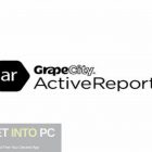 GrapeCity-ActiveReports-2022-Free-Download-GetintoPC.com_.jpg