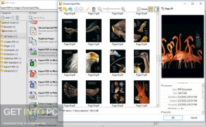 PDF-Tools-2022-Full-Offline-Installer-Free-Download-GetintoPC.com_.jpg
