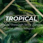 VideoHive – Jungle Tropical Slideshow [AEP] Free Download
