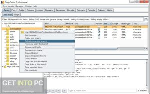 Burp-Suite-Professional-2023-Latest-Version-Free-Download-GetintoPC.com_.jpg