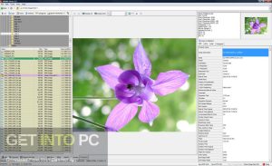 WildBit-Viewer-2023-Latest-Version-Download-GetintoPC.com_.jpg