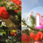 VideoHive – Flower Spring Logo Reveal [AEP] Free Download