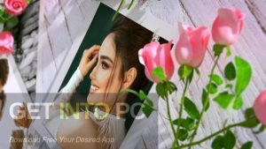 VideoHive-Wedding-Roses-AEP-Free-Download-GetintoPC.com_.jpg