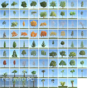 Evermotion-Archmodels-Vol.-113-.max-V-Ray-trees-Latest-Version-Download-GetintoPC.com_.jpg