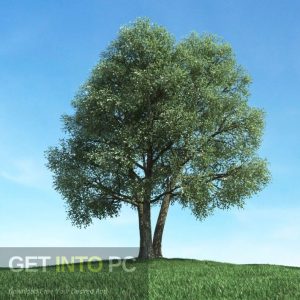 Evermotion-Archmodels-Vol.-117-.max-V-Ray-trees-Latest-Version-Download-GetintoPC.com_.jpg