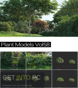 Maxtree-Plant-Models-Vol.58-CoronaV-Ray-3ds-max-Free-Download-GetintoPC.com_.jpg