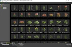 Maxtree-Plant-Models-Vol.69-Direct-Link-Download-GetintoPC.com_.jpg