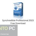Synchredible-Professional-2023-Free-Download-GetintoPC.com_.jpg