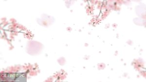 VideoHive-Sakura-Blossom-Logo-Reveal-AEP-Direct-Link-Free-Download-GetintoPC.com_.jpg