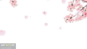 VideoHive-Sakura-Blossom-Logo-Reveal-AEP-Full-Offline-Installer-Free-Download-GetintoPC.com_.jpg