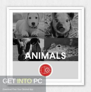 Big-Room-Sound-Animals-WAV-Full-Offline-Installer-Free-Download-GetintoPC.com_.jpg
