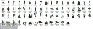 PHOTOBASH-CONIFER-TREES-PNG-CSH-Latest-Version-Download-GetintoPC.com_.jpg