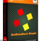 Runtime GetDataBack Pro 2024 Free Download-GetintoPC.com.jpg